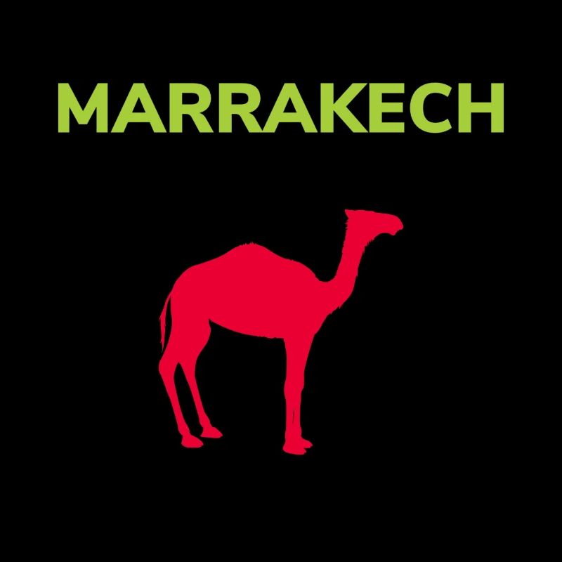 Kamele in Marrakech Marrakesch Kamel