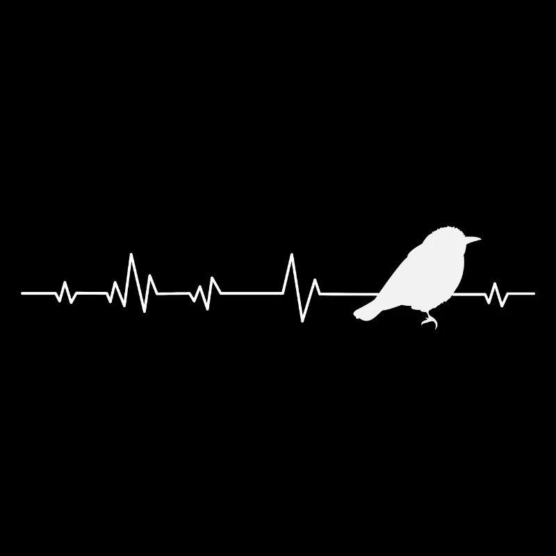 Oiseaux oiseaux