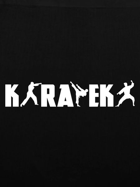 Lustige Karateka