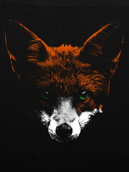 fox