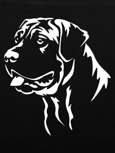 Presa Canario Kopf "Black Edition"