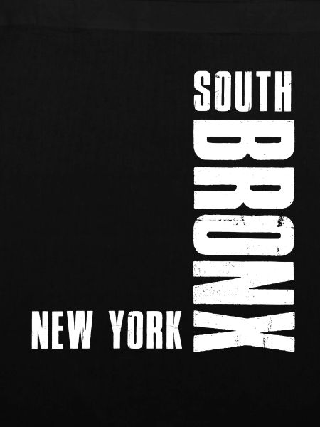 South Bronx New York