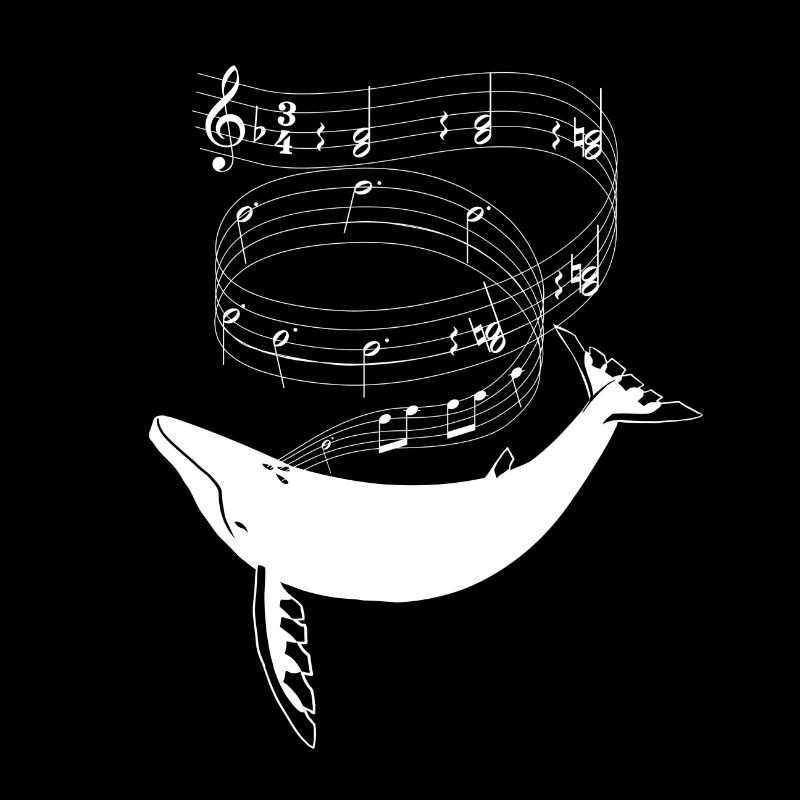 Wal erzeugt Musik