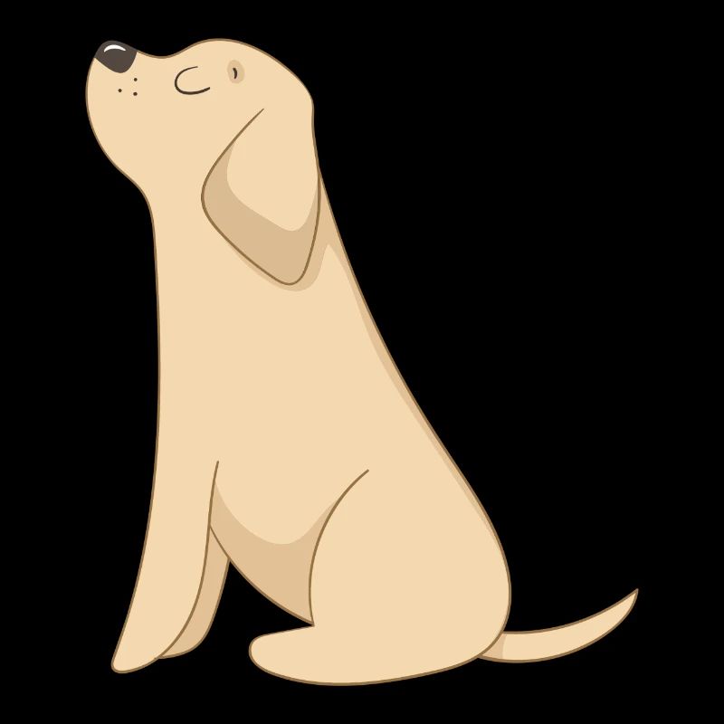 Chien