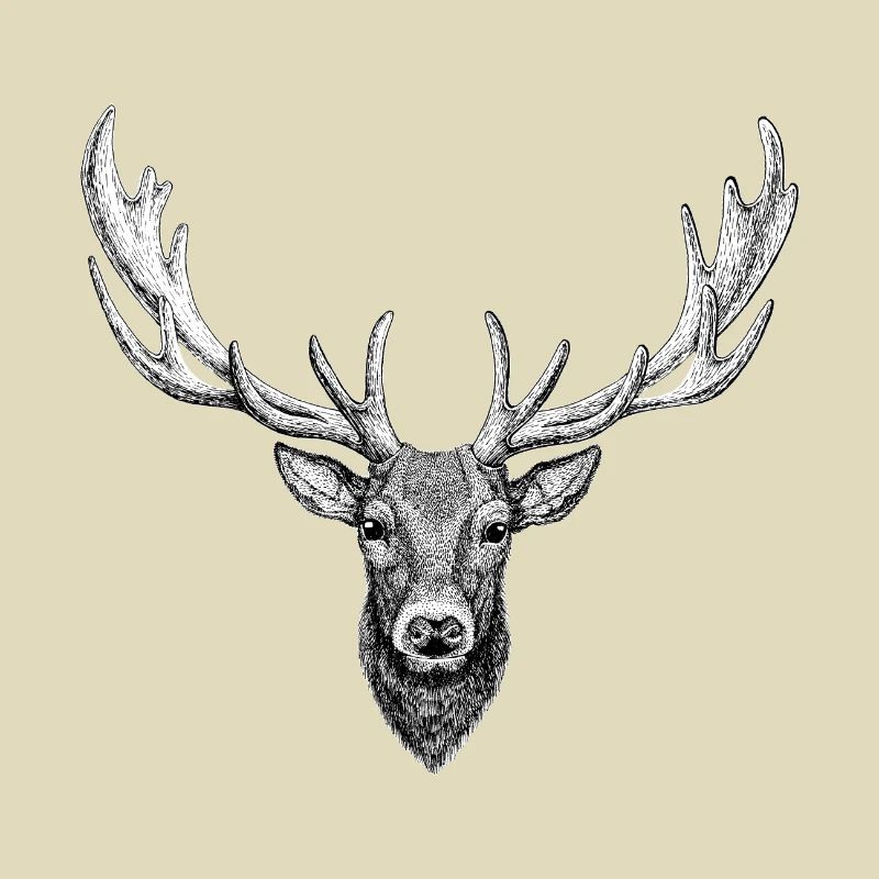 Hirsch