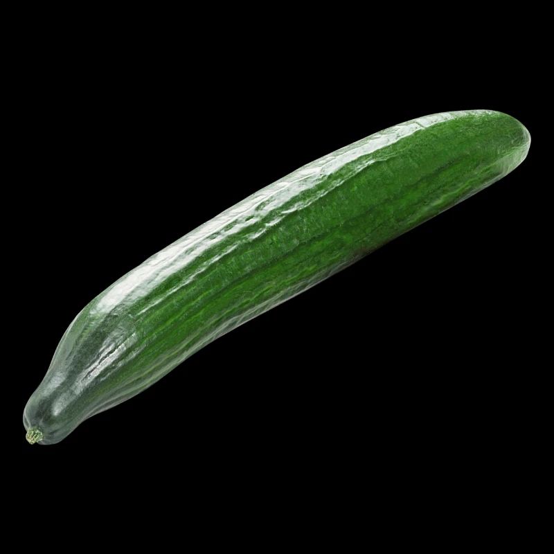concombre