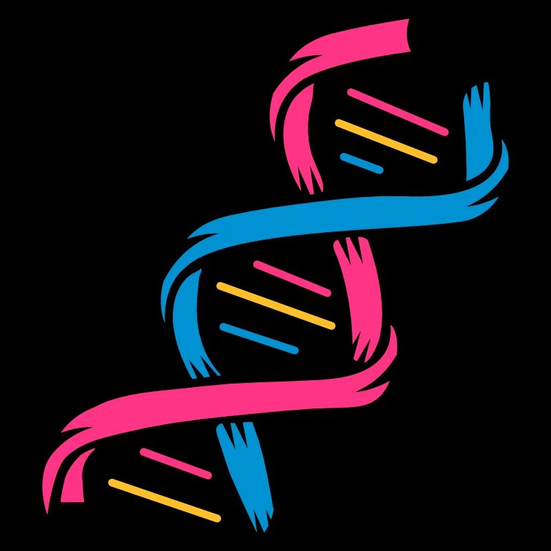 The structure of a DNA molecule