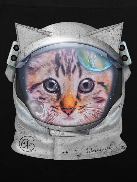 Chat dans l’espace