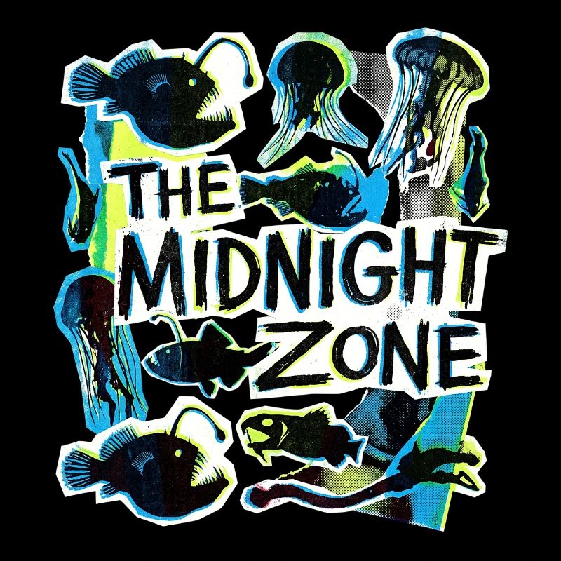 The Midnight Plastic Zone