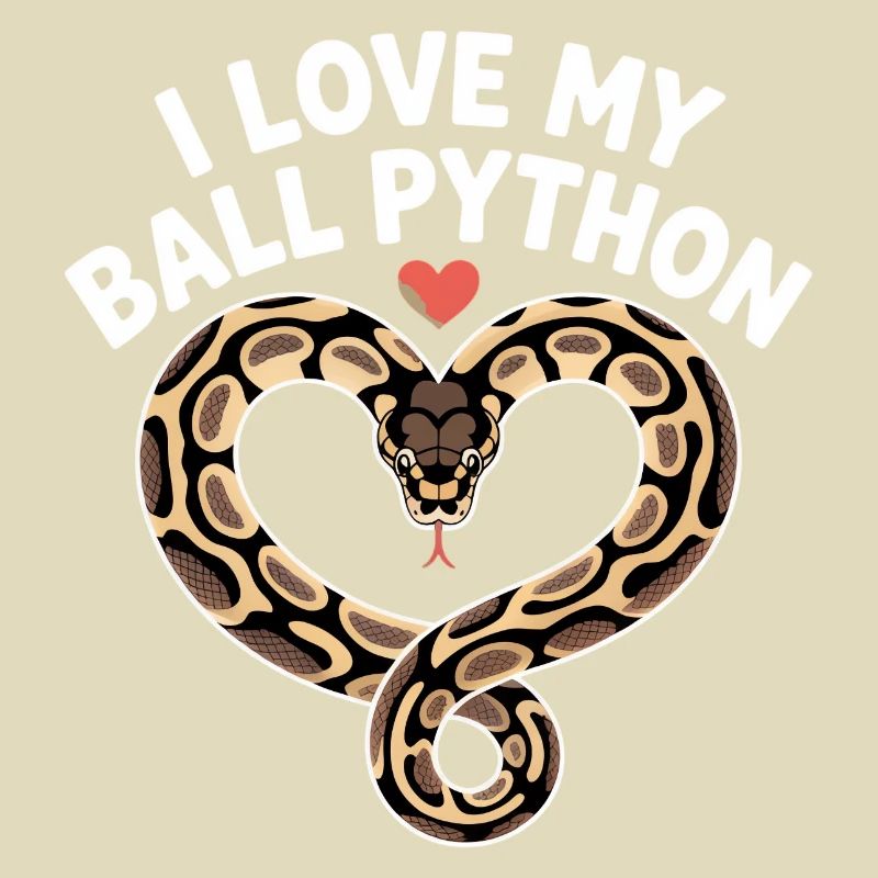J’adore mon python royal ! Roi python