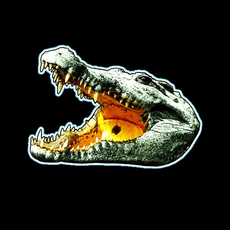 crocodile
