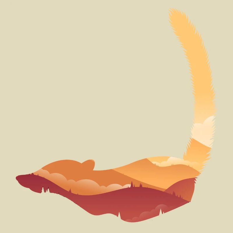 Coati