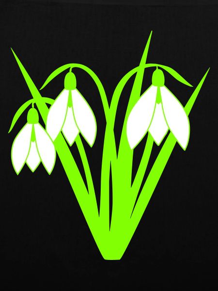 Snowdrops