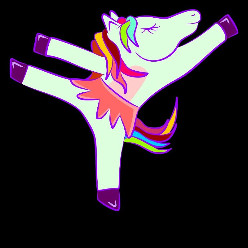 Ballet cadeau danse danse licorne