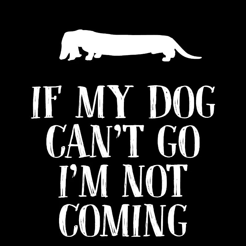 Hunde Hund