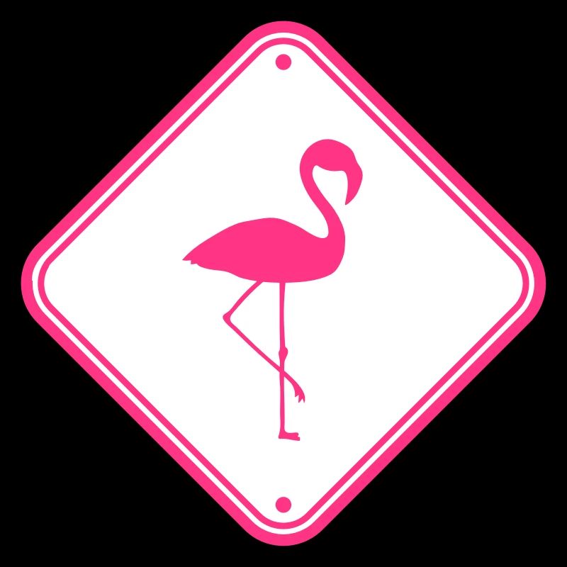 warning note caution caution shield danger fla