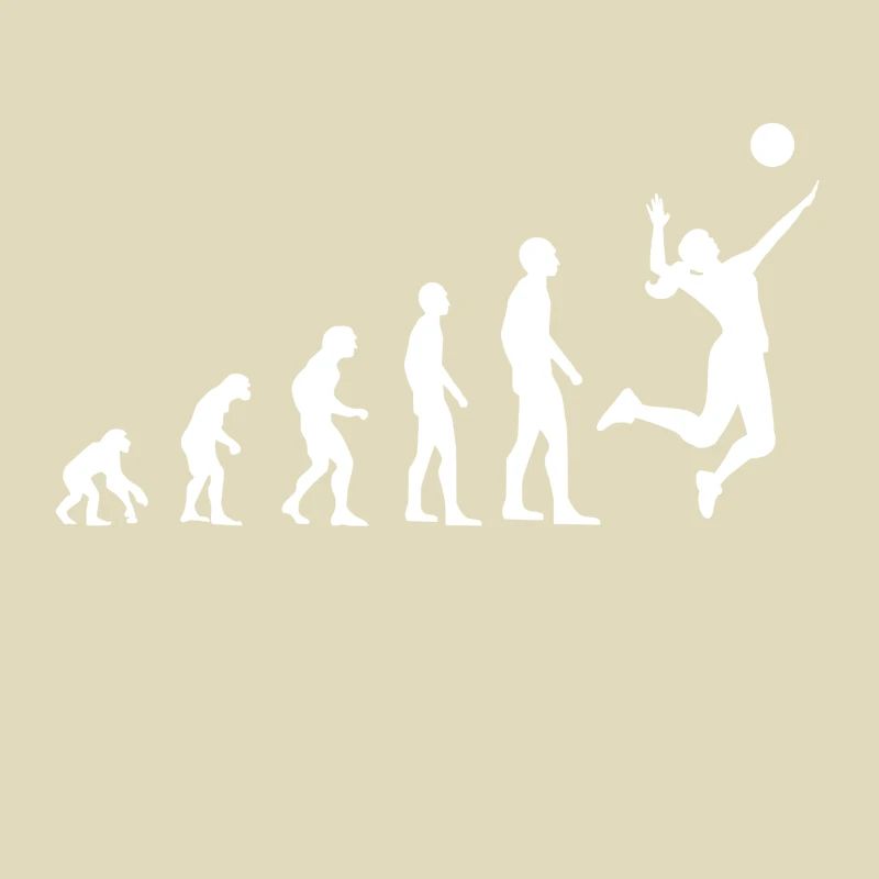 Evolution Volleyball