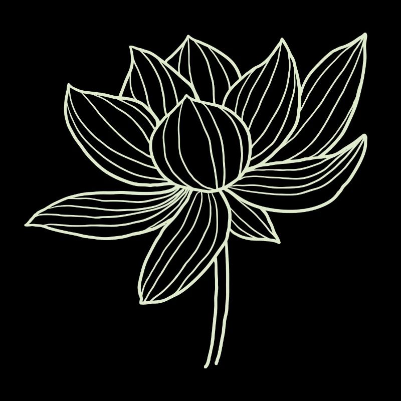 Lotus Blüte