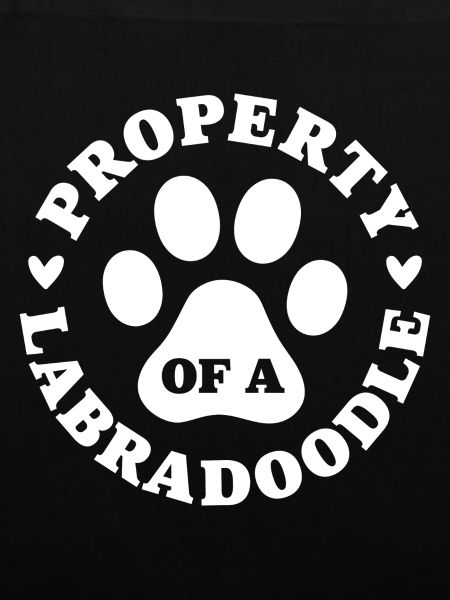 Eigentum eines Labradoodles