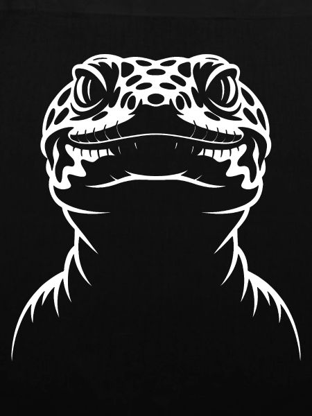 Gecko-Silhouette Kontrast