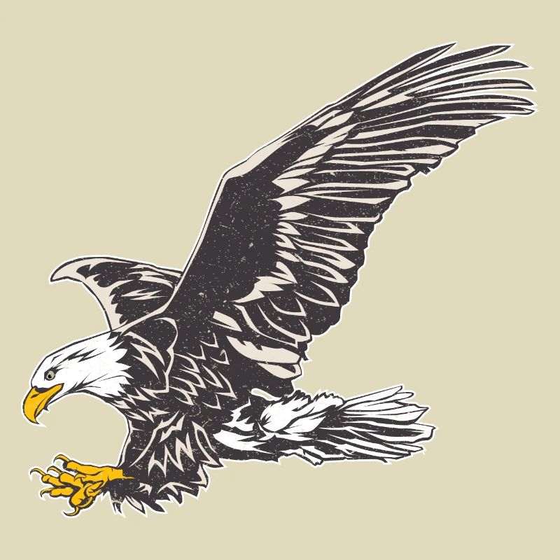 Eagle freedom Eagle eagle head flying gift