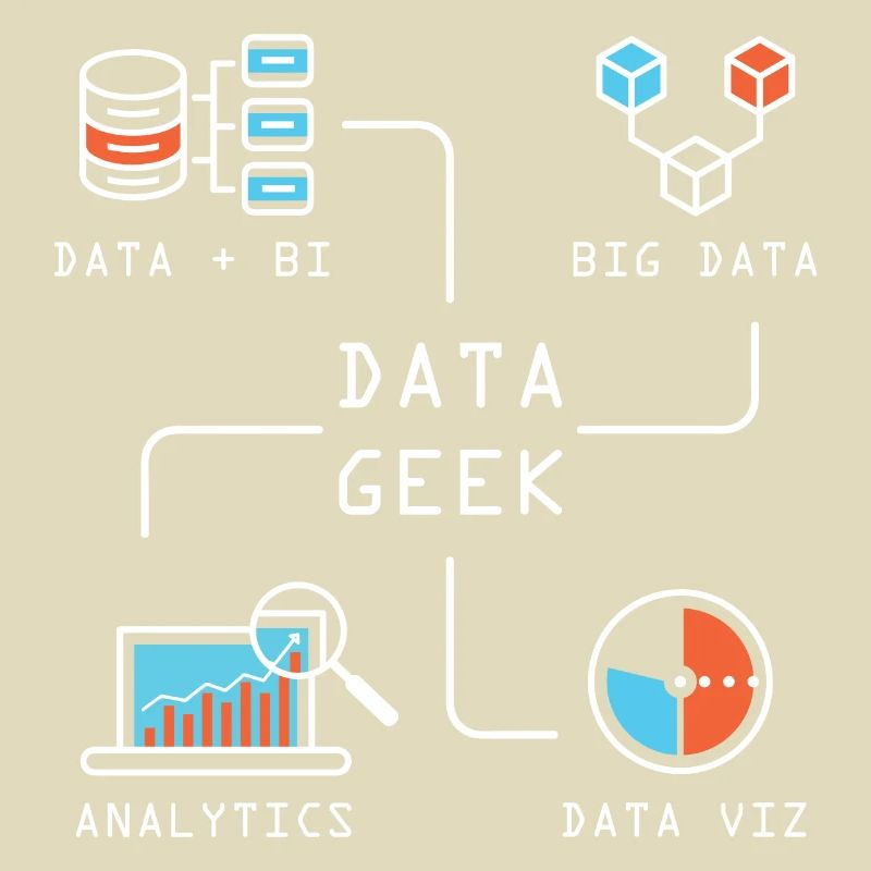 Data Geek Softwareentwickler