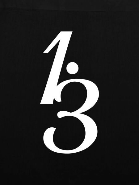 Human Design 1/3 Profil