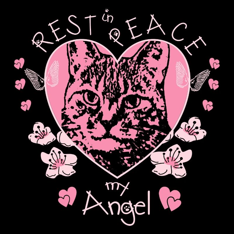 Katzen Engel
