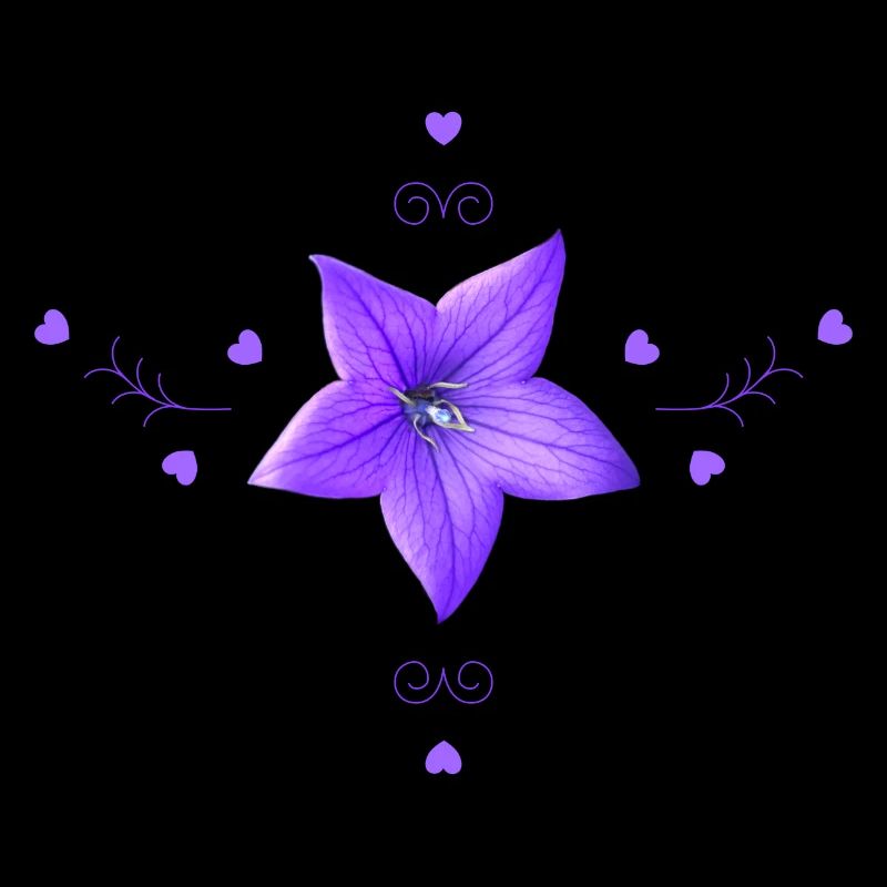 Glockenblume lila Blume
