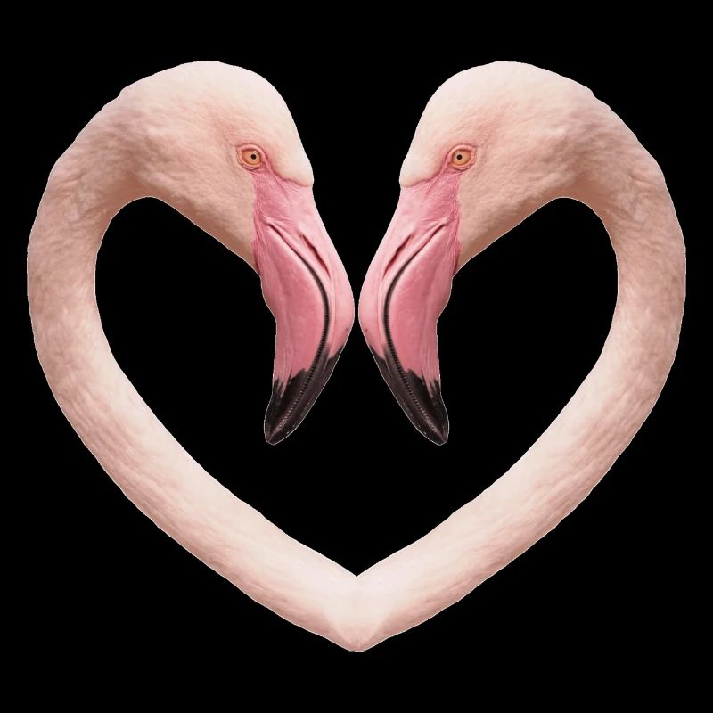 Flamingo-Herz