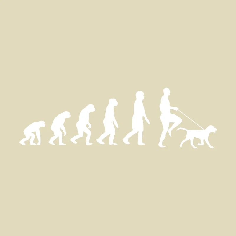 Labrador Evolution