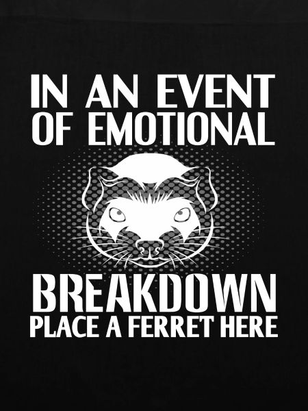 Frettchen