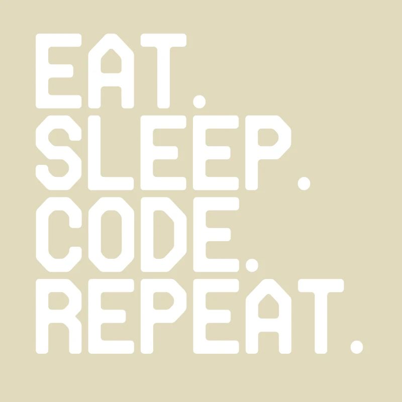 Programmer