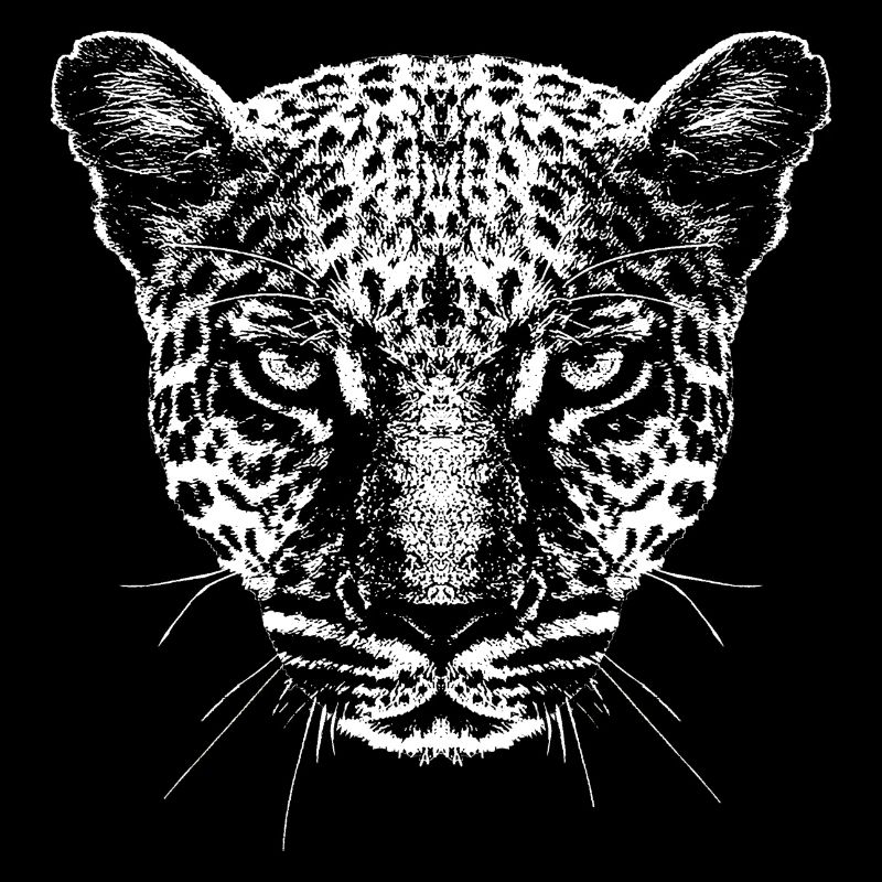 Léopard / Tête / Graphique / Blanc