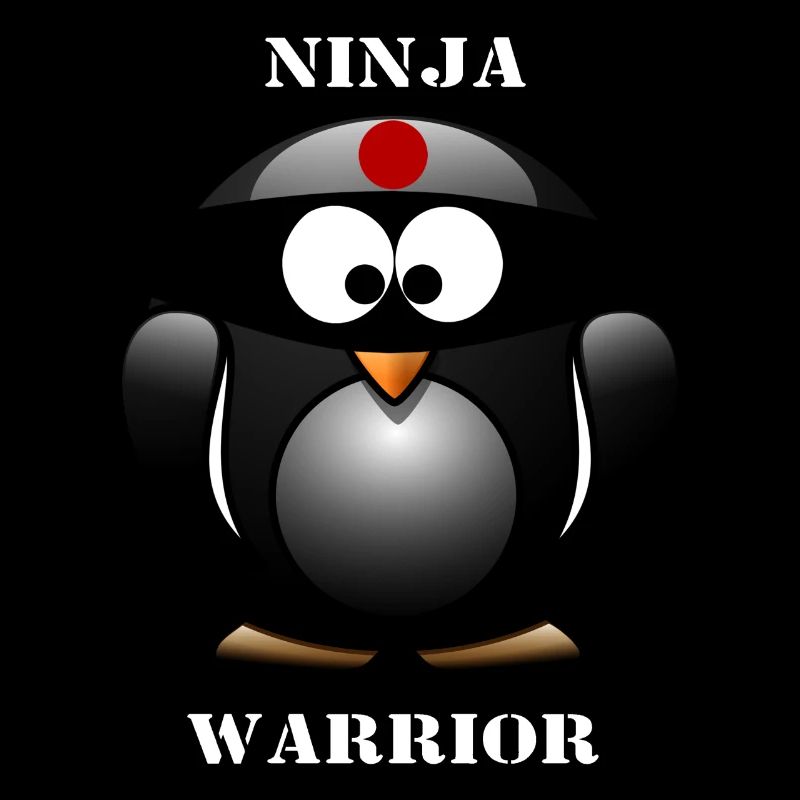 Ninja warrior