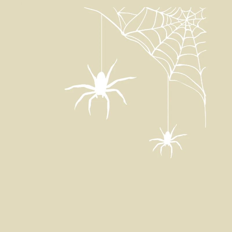 Spider - spider web