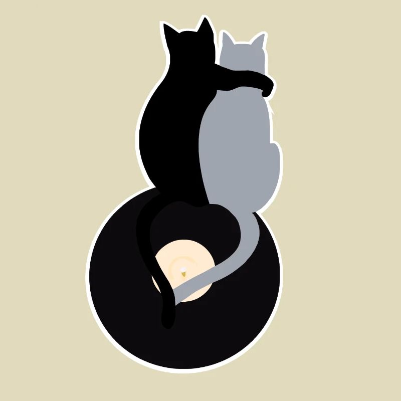 katze vinyl schallplatte freundschaft geschenk mus