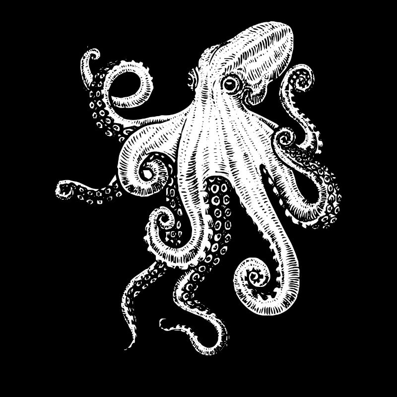 Oktopus Tiergeschenk