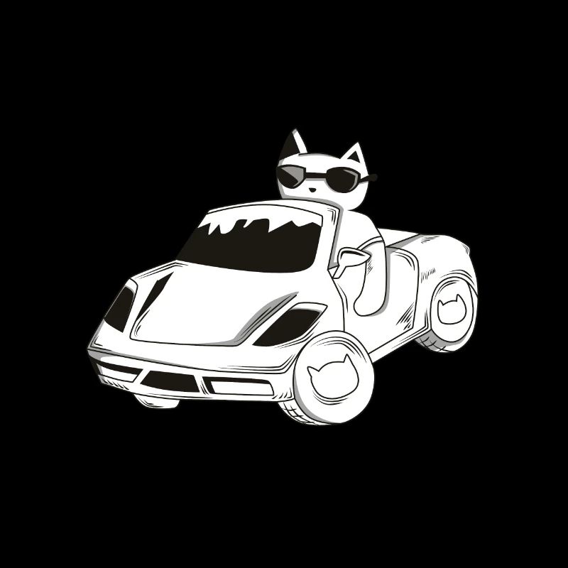 Katze im Auto / Geschenk / Geschenkidee