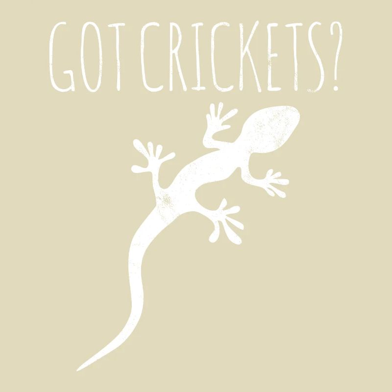 Echse Gecko Besitzer