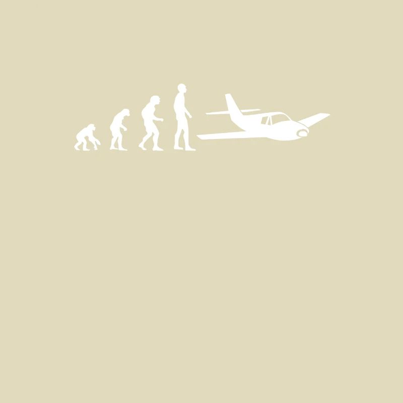 evolution pilot flugzeug