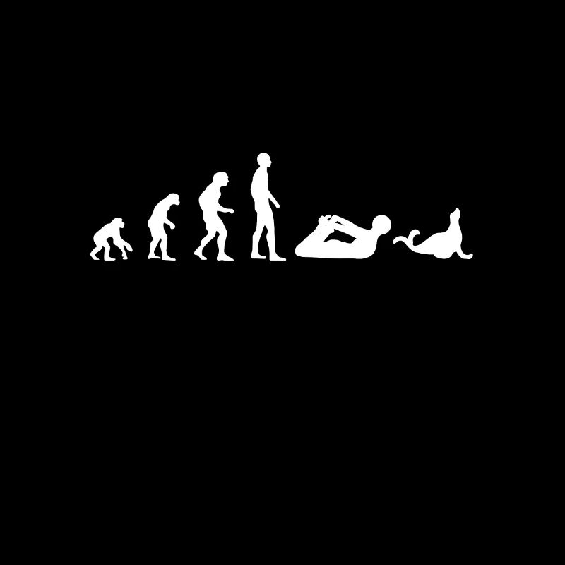 Robbe Evolution