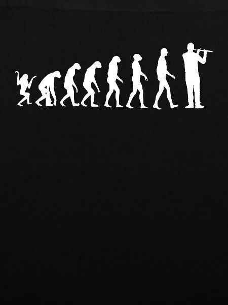 Flötist Evolution Querflötist Flötist