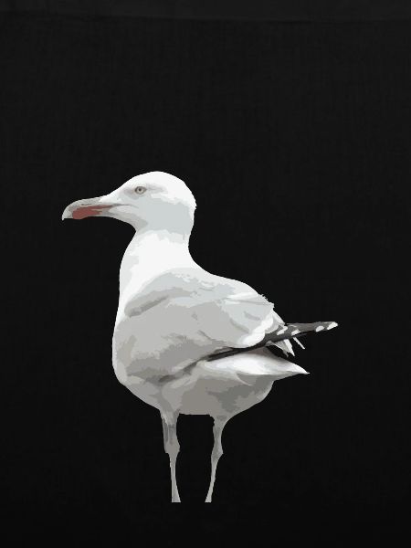 Die Möwe