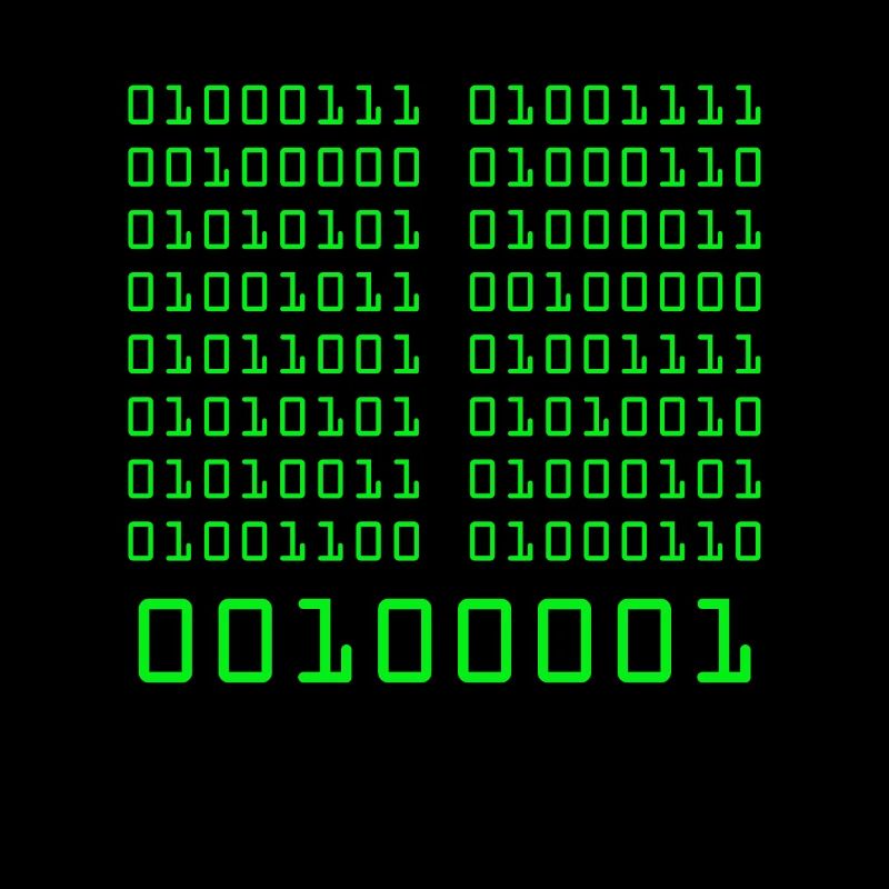 Go fuck yorself! Binary Code Programming Code