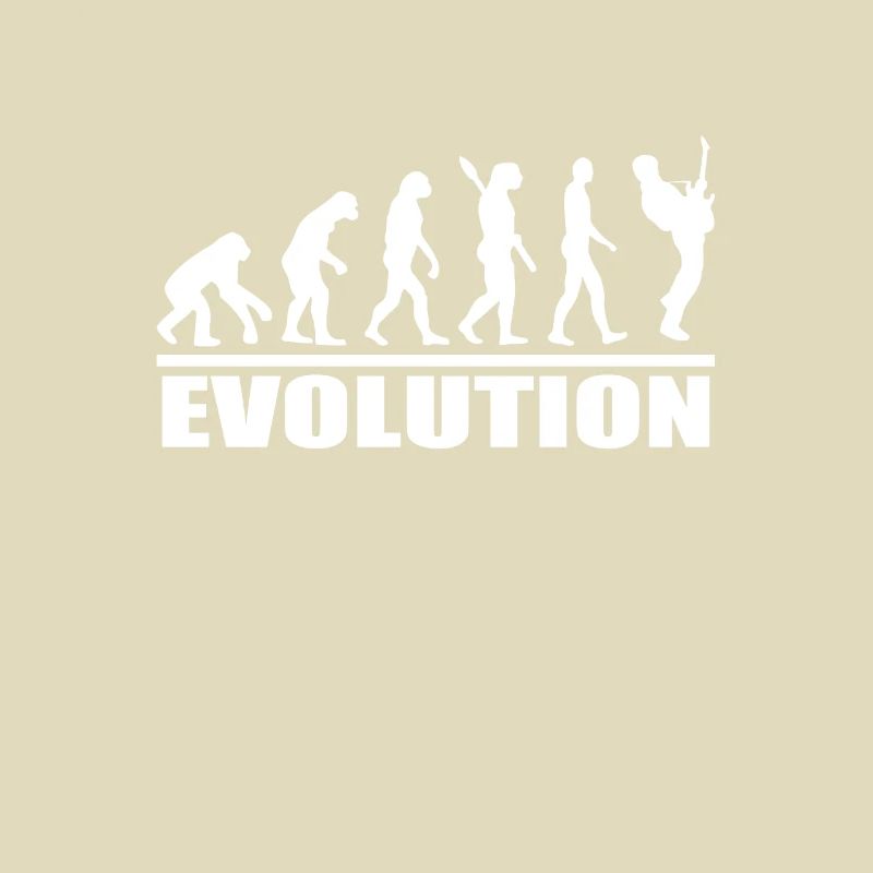 Gitarre Evolution