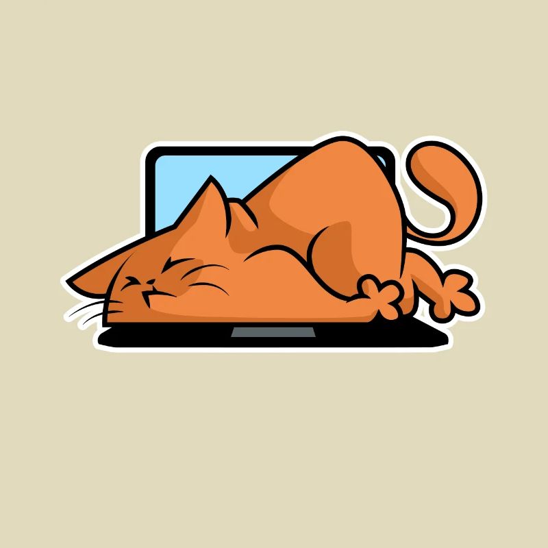 Cats and computers