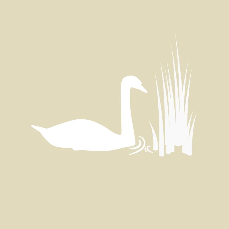 Schwan Teich Schilf