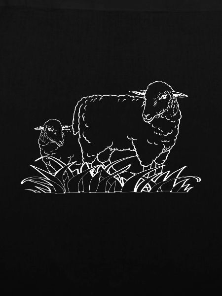 Schafherde - Schaf