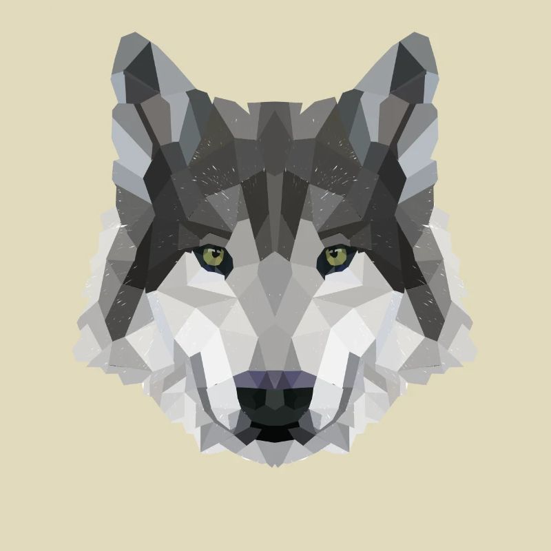 POLYGON WOLF WOLVES HUSKY PACK DOG PACK PACK